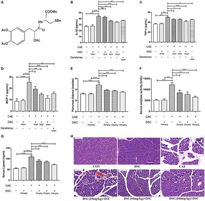 A Novel Derivative of the Natural Product Danshensu Suppresses Inflammatory Responses to Alleviate Caerulein-Induced Acute Pancreatitis